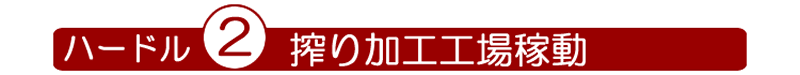 どくだみ酒・十黒梅