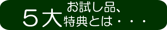 十黒梅お試し品
