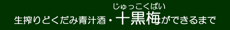 どくだみ酒・十黒梅