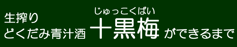 どくだみ酒・十黒梅