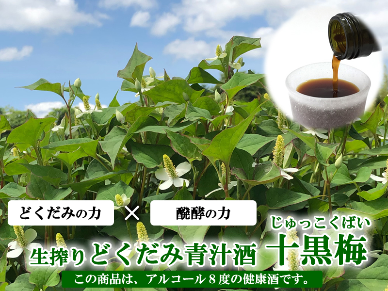 どくだみ酒・十黒梅