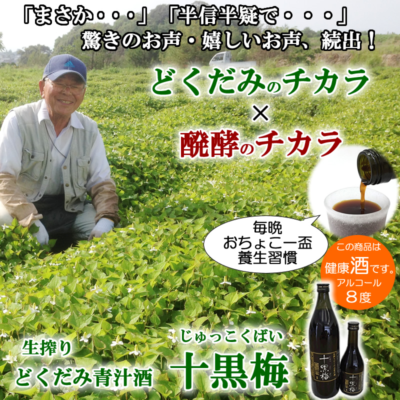 どくだみ酒・十黒梅