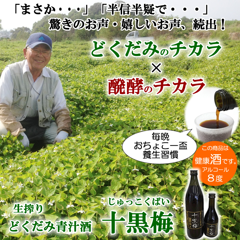 どくだみ酒・十黒梅