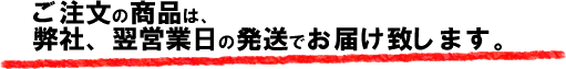 発送日