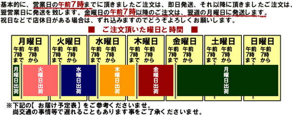 発送予定