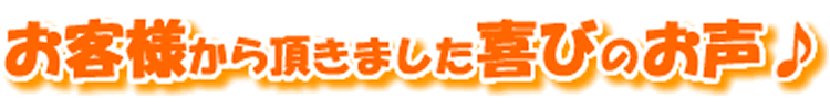 生搾りどくだみ青汁酒・十黒梅