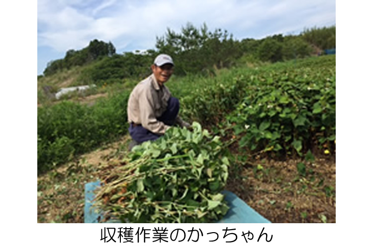 どくだみ青汁酒 十黒梅 じゅっこくばい の食援隊