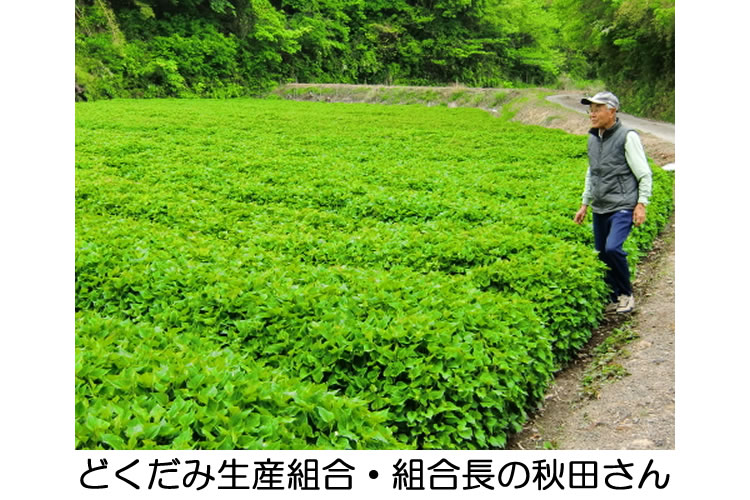 どくだみ青汁酒 十黒梅 じゅっこくばい の食援隊