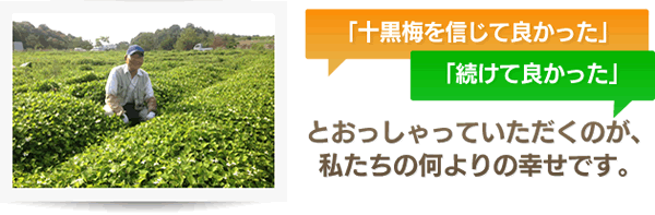 定期案内